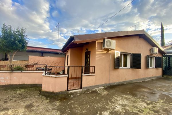 Cortile esterno della casa vacanza una giraffa a Roma