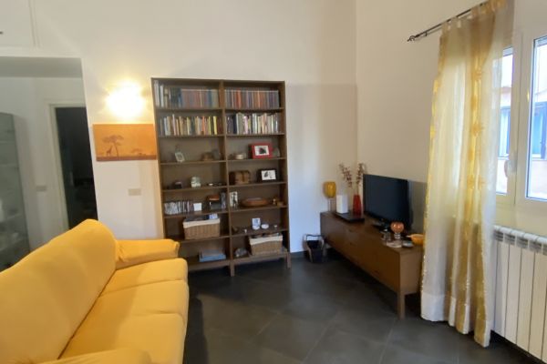 Sala con divano e libreria casa vacanza una giraffa a roma